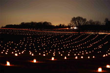 Antietam National Battlefield Illumination at Mumma Farm